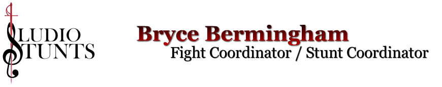 Bryce Bermingham - official website